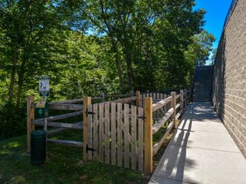 Dog park